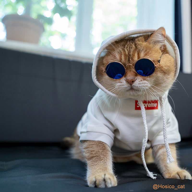 supreme cat clothes