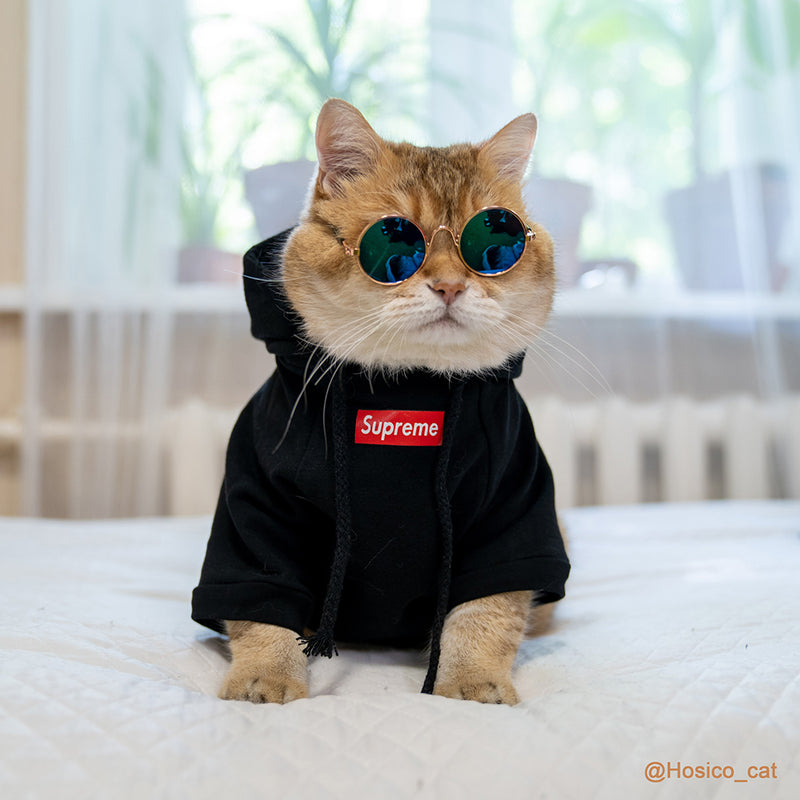 supreme cat clothes