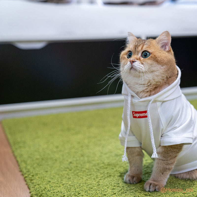 supreme cat clothes