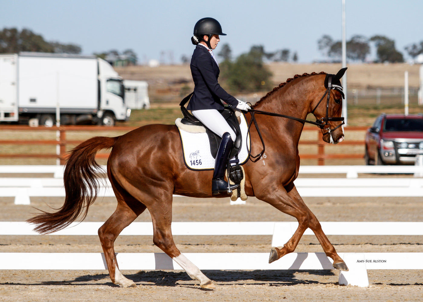 Team NextGen Horse First 2019 NSW Dressage Championships NextGen Equine