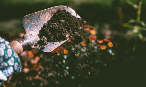 Shovel scooping up compost