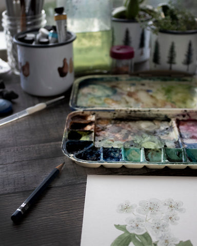 painting supplies and botanical watercolor
