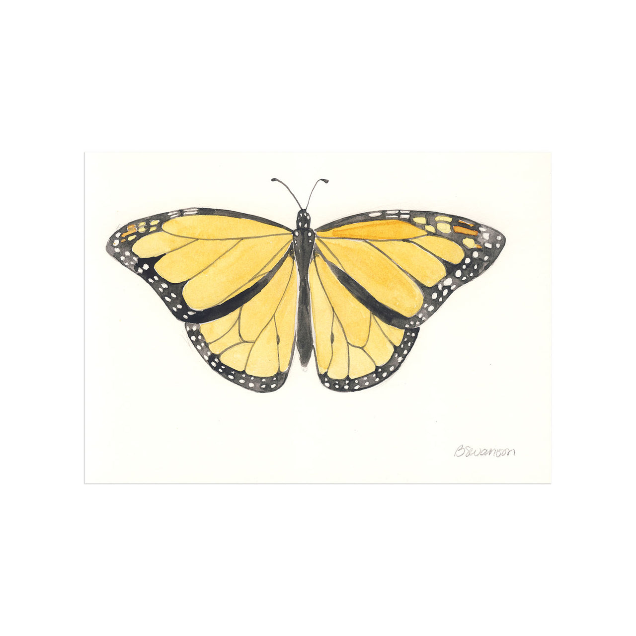 monarch butterfly painting