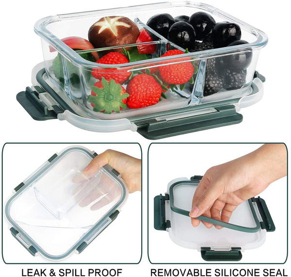 Buy RIOMTRIC Glass Lunch Box Containers Tiffin 1000 ML 2 Partition