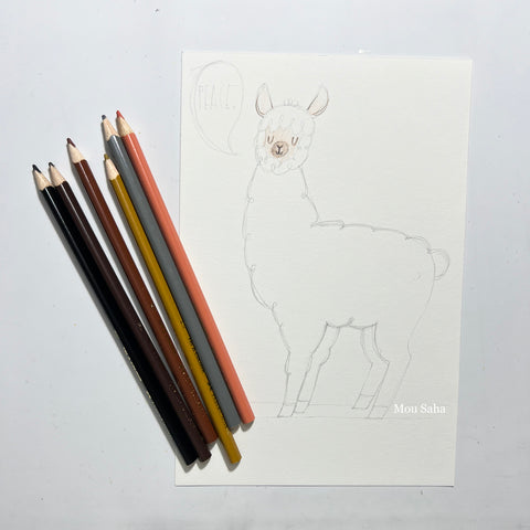 Sketch of alpaca with colored pencils