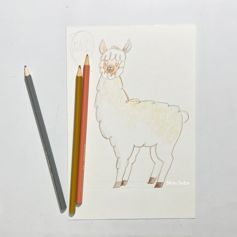 Alpaca drawing with colored pencils