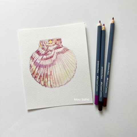 Drawing Seashells with Watercolor Pencils