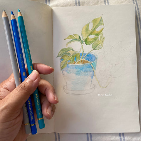 Sketch of a monstera plant with Polychromos Color Pencils 