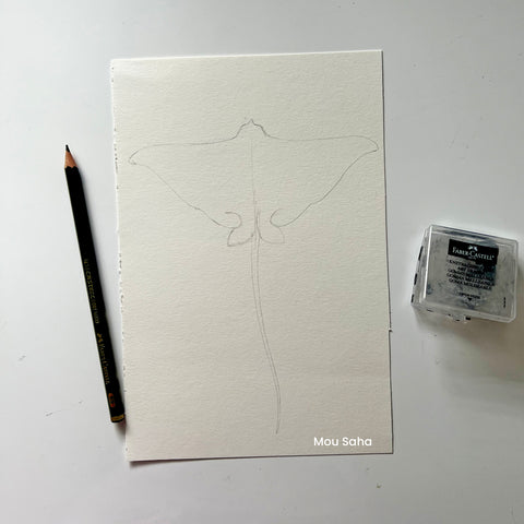Sketch of a stingray