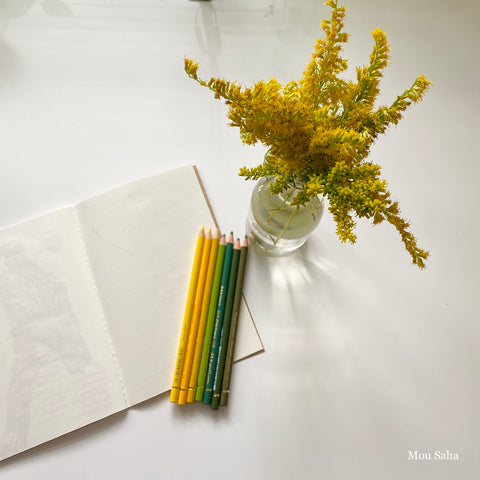 Polychromos Color Pencils with goldenrod flowers