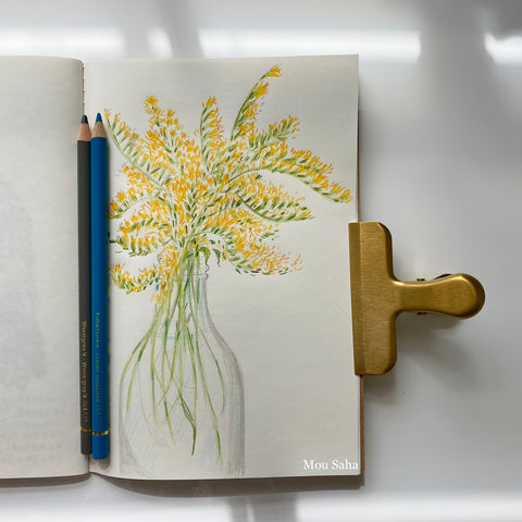 A sketch of goldenrod flowers with Polychromos Color Pencils