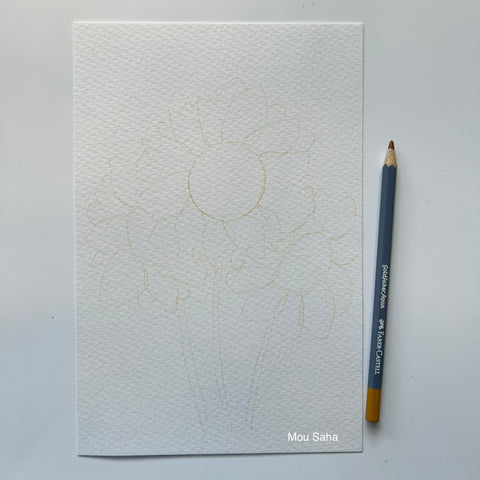 A sketch of a sunflower
