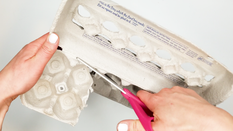 Scissors cutting egg carton