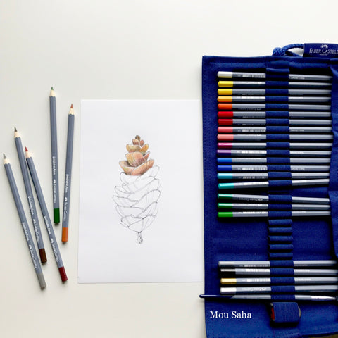 Pinecone Sketch with Goldfaber Aqua Watercolor Pencil roll