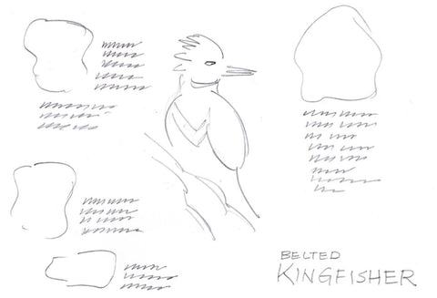 Sketch of a bird