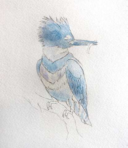 Sketch of bird
