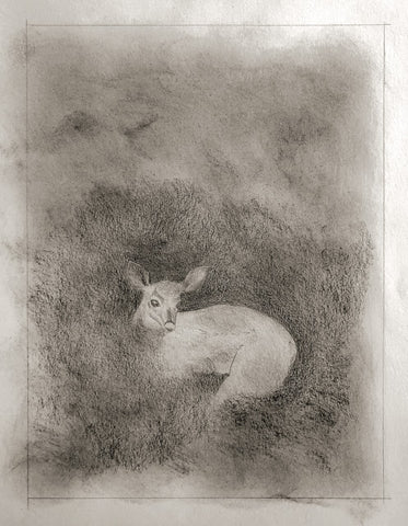 Graphite dust with a deer