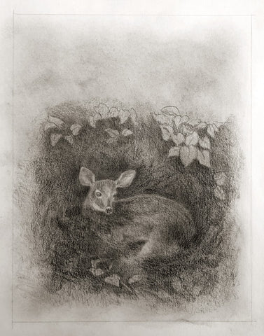 Graphite dust with a deer sketch