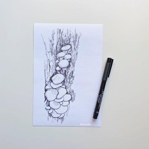Mushroom sketch with Pitt Artist Pen