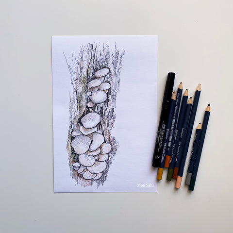 Mushroom sketch with Goldfaber Color Pencils