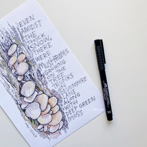 Mushroom sketch with Pitt Artist Pen
