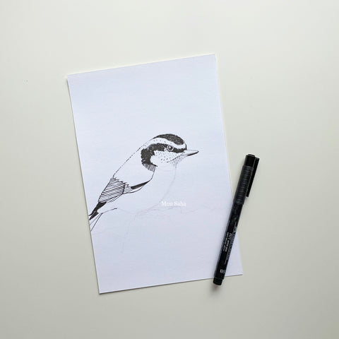 Bird sketch with Pitt Artist Pen