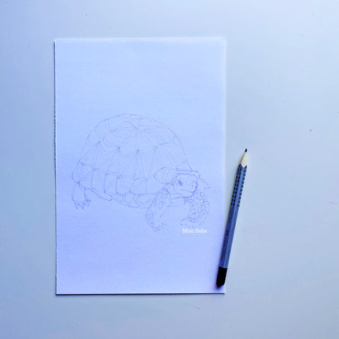 Turtle sketch with Grip graphite pencil