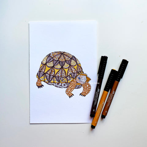 Patterned turtle and Pitt Artist Pens