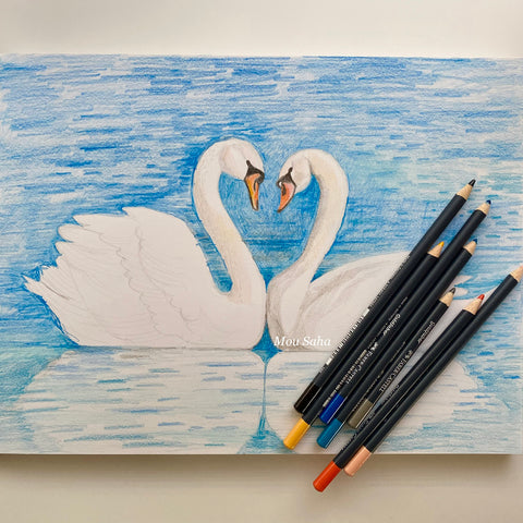 Swan sketch with Goldfaber Color pencil
