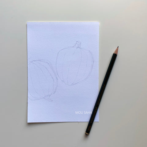 An acorn squash graphite sketch