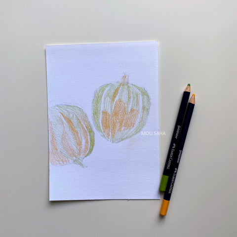 Acorn squash sketch with Goldfaber Color Pencils