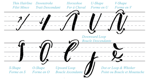 Hand lettering strokes