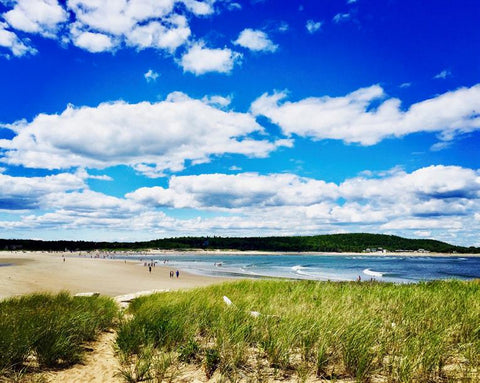 Maine Beach Landscape