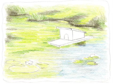 Drawing of a pond