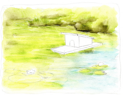 Drawing of a pond with watercolors