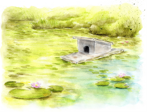 Watercolor pond