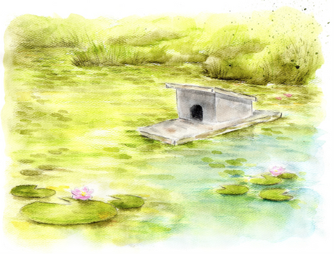 Watercolor painting of a pond