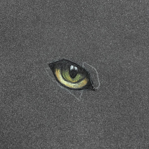 Pastel cat eye