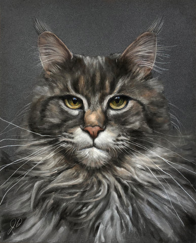 Pastel cat pet portrait