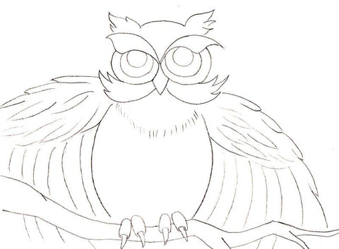 Outline of owl
