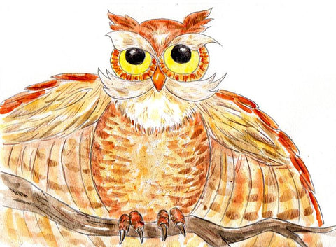 Owl watercolor painting