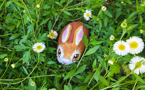 Rock painted as bunny in grass