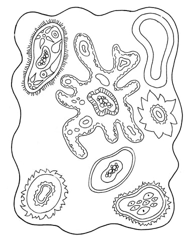 Microorganisms 