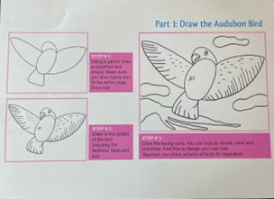 Step by step illustration of a bird