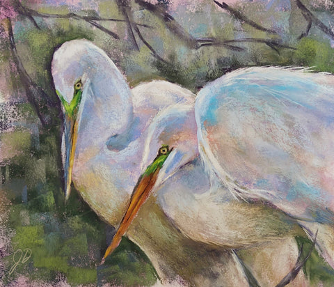 Two pastel egrets