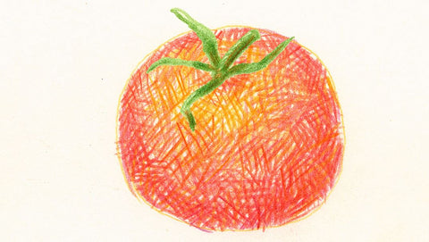 More color added to a tomato with cross hatching to portray depth