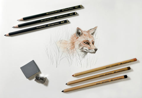 Pastel pencils and fox drawing