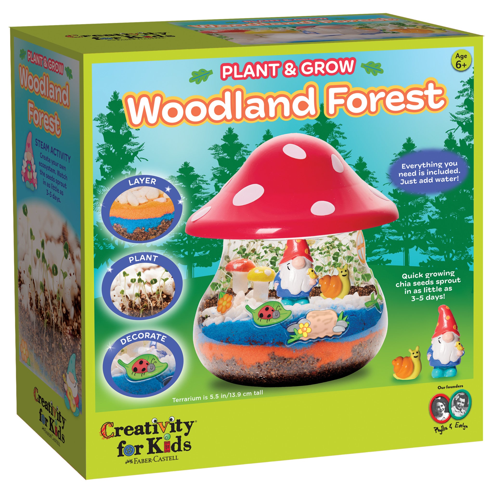 Plant and Grow Woodland Forest Kit