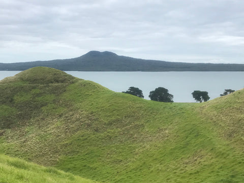 Rangitoto from Browns Island