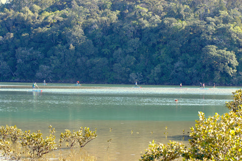 Puhoi River